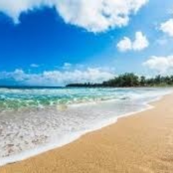 Meet your Posher, Rhnee - Picture 2 of 3